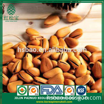 Wholesale Particle Filled Screw Weight Open Pine Nuts in Shell